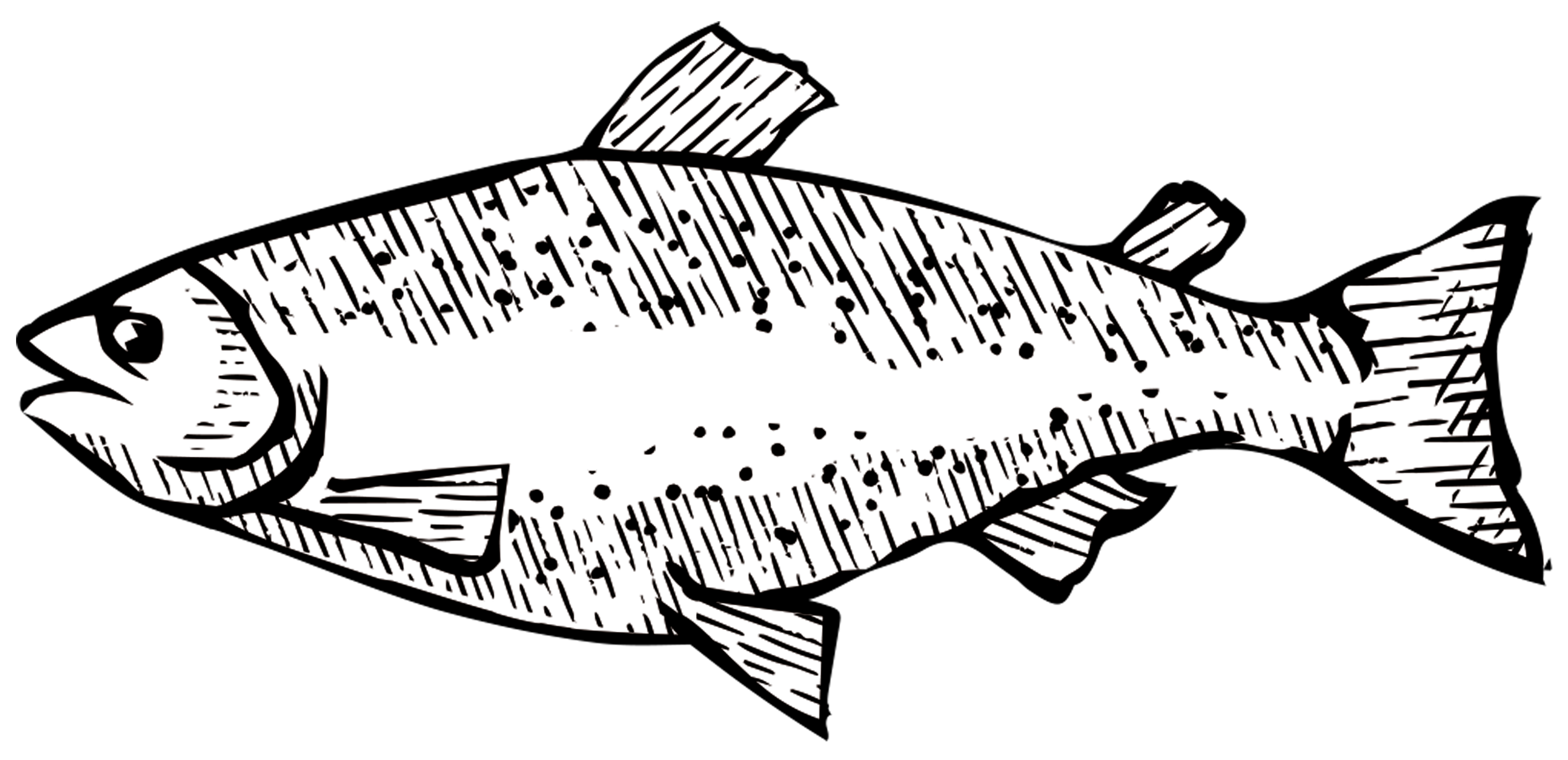 John's Fish & Chicken Bar